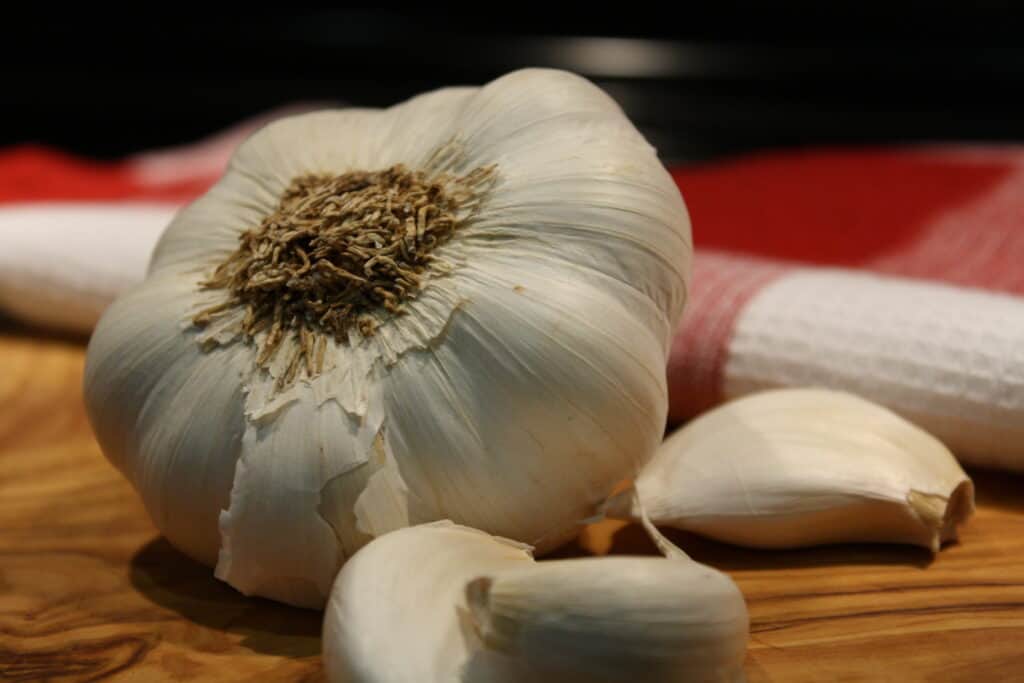 Garlic Bulb and cloves